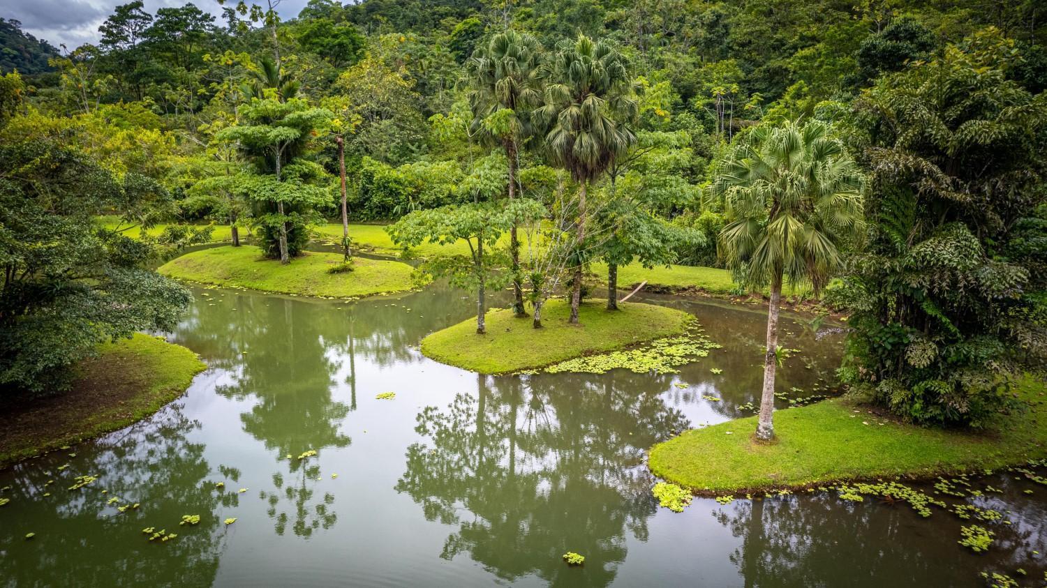 Lands In Love Hotel And Resort Colonia Palmarena Luaran gambar