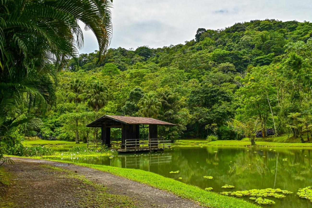 Lands In Love Hotel And Resort Colonia Palmarena Luaran gambar